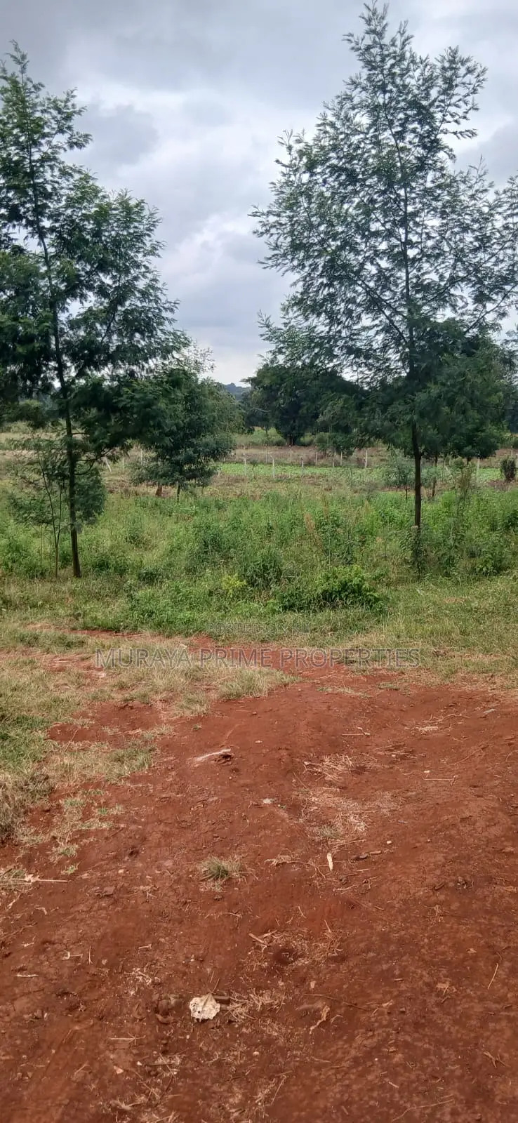 Prime 1/8 Acre Plot for Sale – Kerarapon Drive in Kerarapon