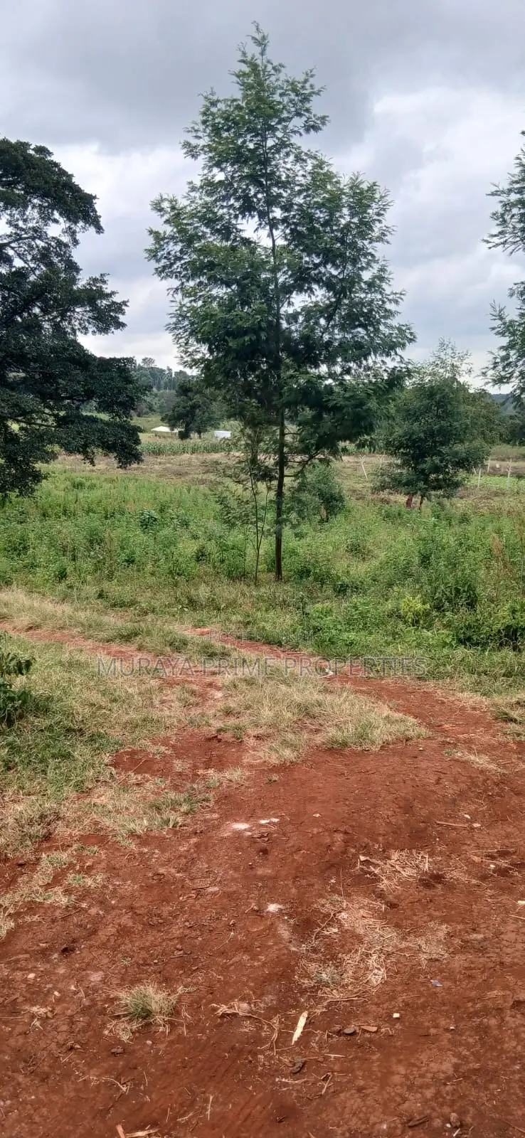 Prime 1/8 Acre Plot for Sale – Kerarapon Drive in Kerarapon