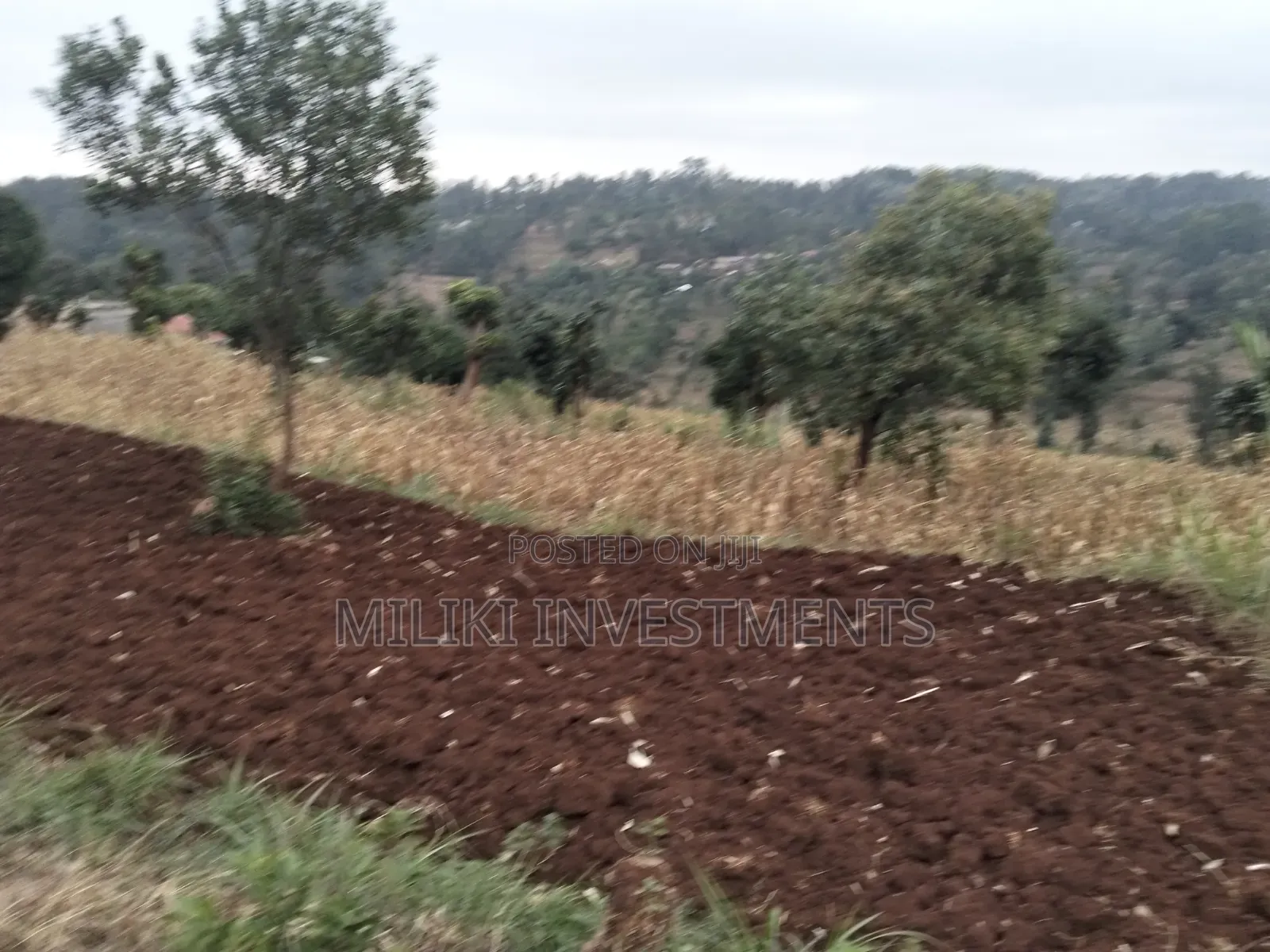 2.5 Acres on Sale at Kenol -Kabati in Kimorori/Wempa