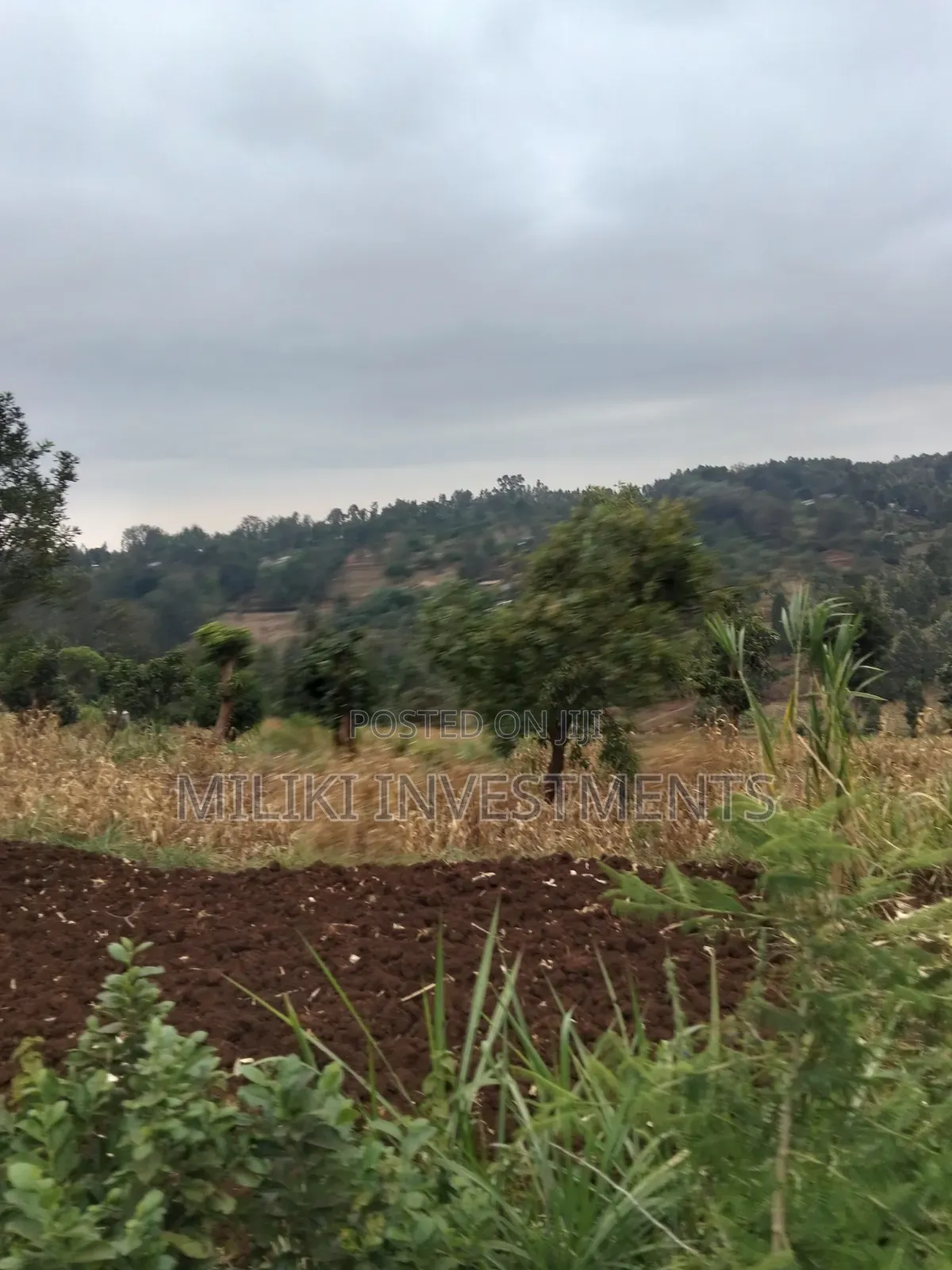 2.5 Acres on Sale at Kenol -Kabati in Kimorori/Wempa