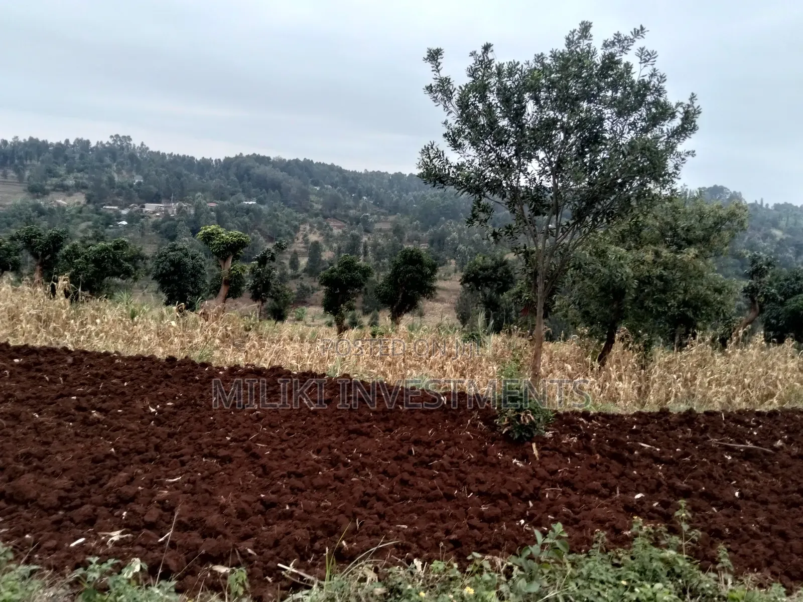 2.5 Acres on Sale at Kenol -Kabati in Kimorori/Wempa