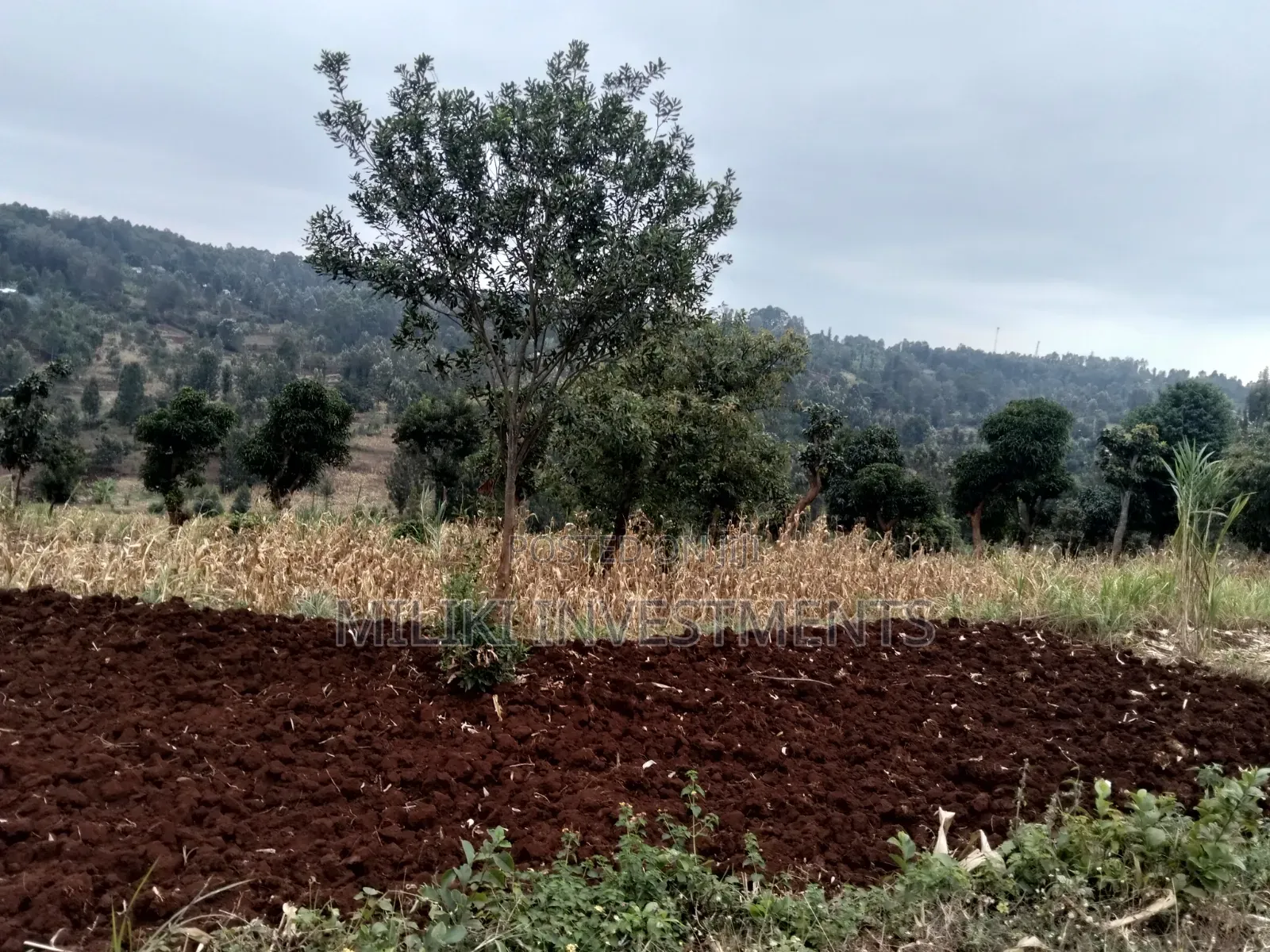 2.5 Acres on Sale at Kenol -Kabati in Kimorori/Wempa