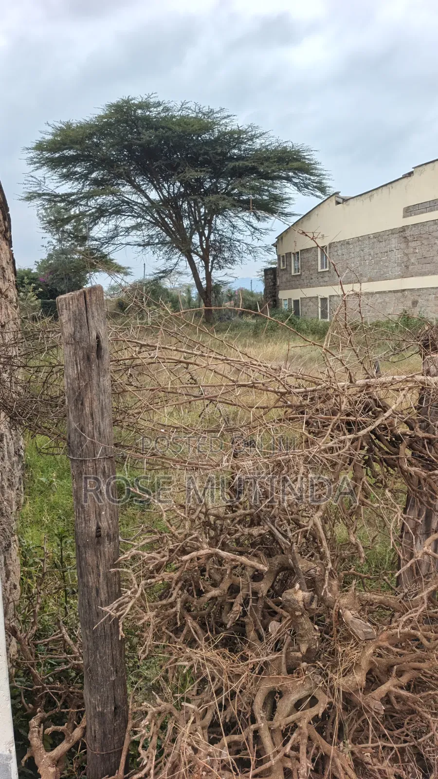 50 by 100 at Kenyaisrael in Junction
