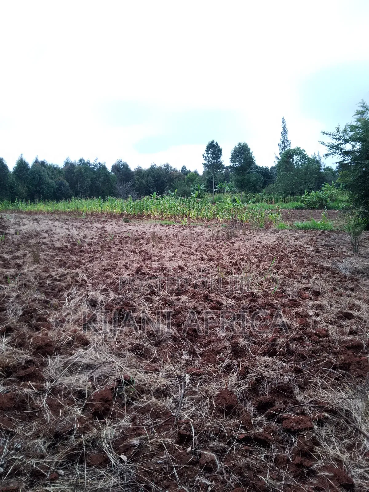 Two Acres for Sale in Nderi-Teikuni Village in Nderi