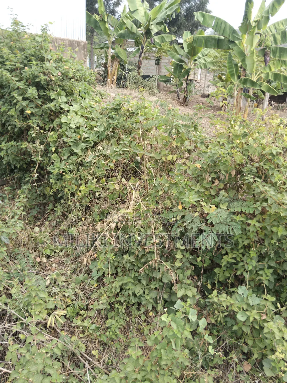 35 Acres of Land on Sale at SabaSaba -Igikiro Area in Kamahuha