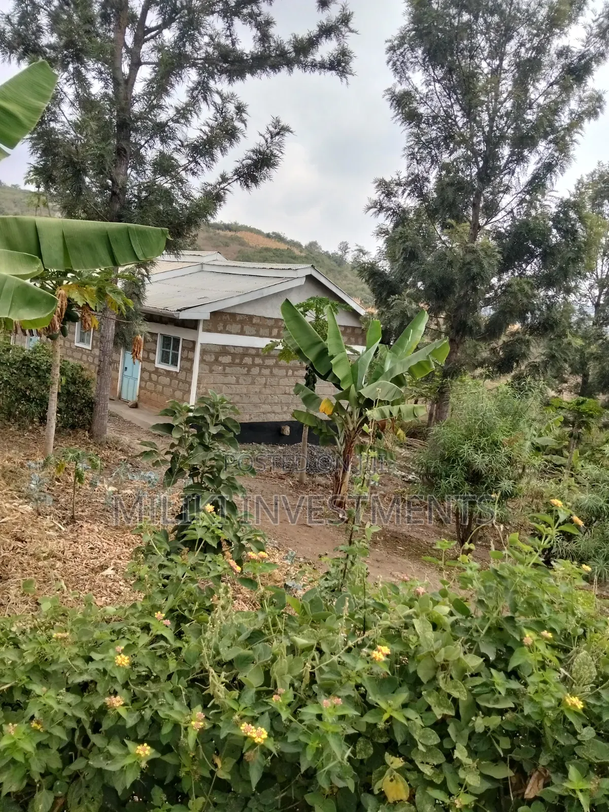 35 Acres of Land on Sale at SabaSaba -Igikiro Area in Kamahuha