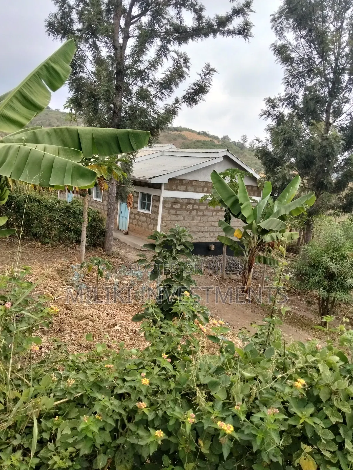 35 Acres of Land on Sale at SabaSaba -Igikiro Area in Kamahuha