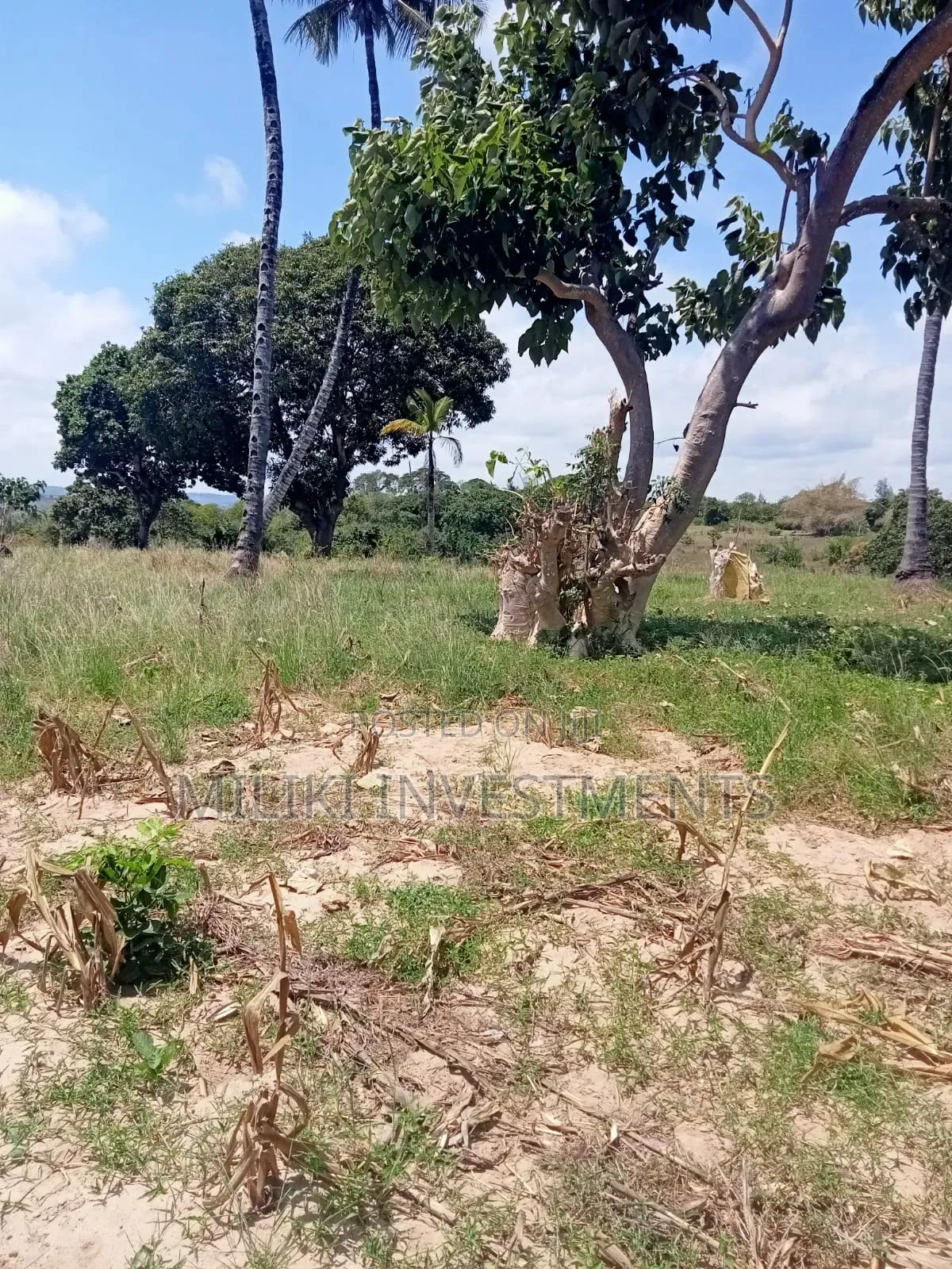 10 Acres Land on Sale at Mombasa -Mtwapa in Mtwapa