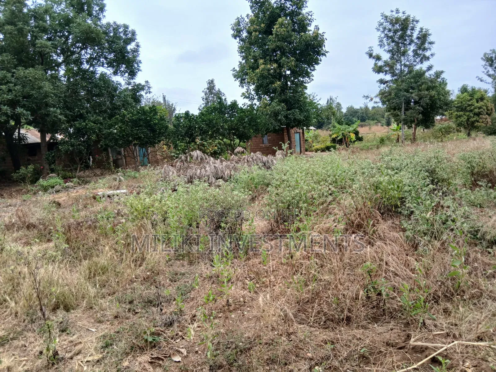 Half an Acre on Sale at Gatanga-Ithanga in Gatanga