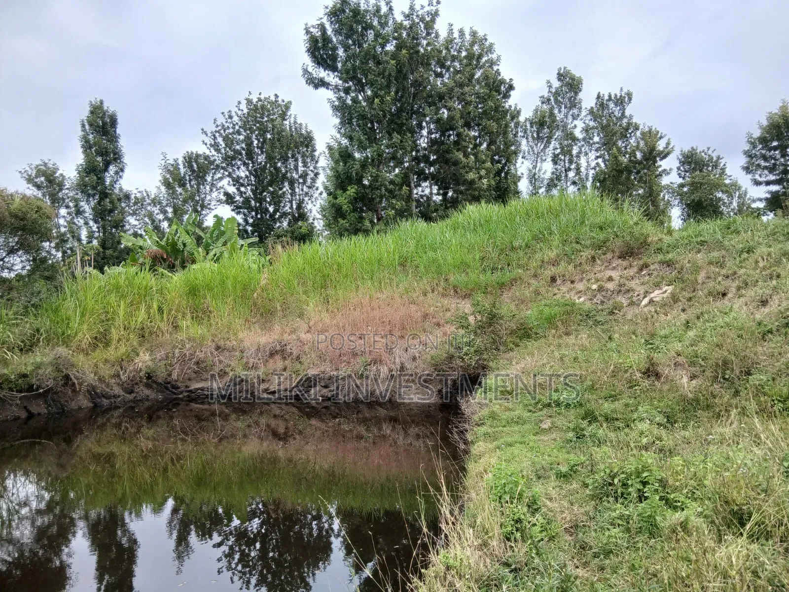 Half an Acre on Sale at Gatanga-Ithanga in Gatanga