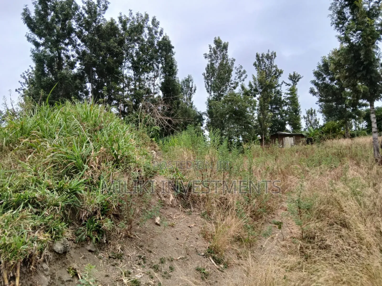 Half an Acre on Sale at Gatanga-Ithanga in Gatanga