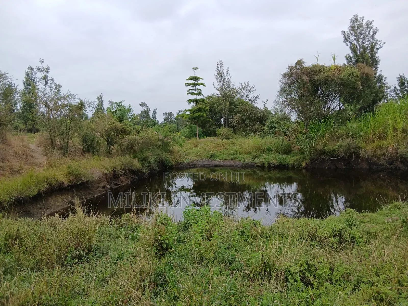 Half an Acre on Sale at Gatanga-Ithanga in Gatanga