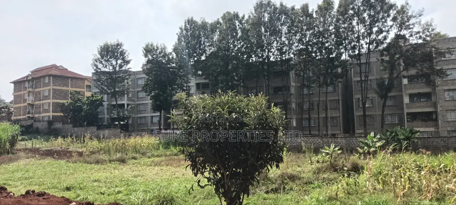 100x70 Kinoo Commercial Plot in Kinoo