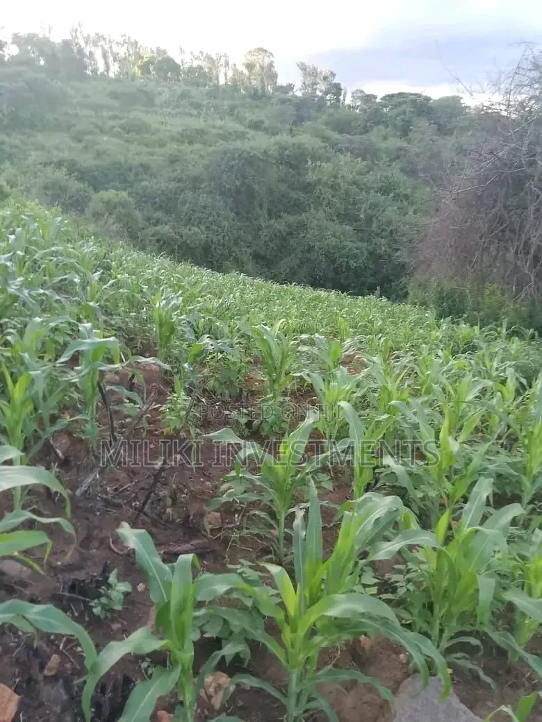 1 Acre on Sale at Gatanga in Ithanga