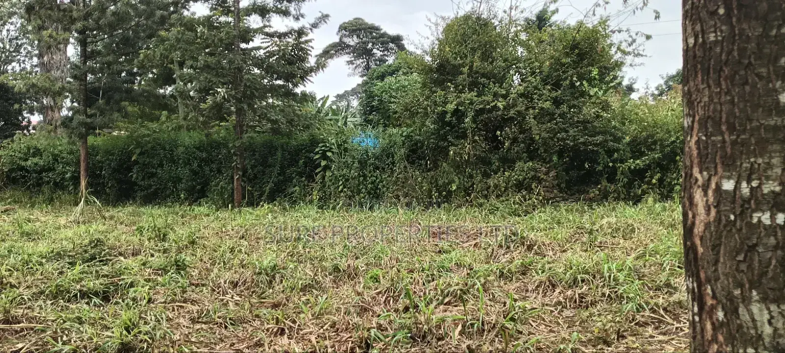 1 Acre Kinoo Plot on Tarmac in Kinoo
