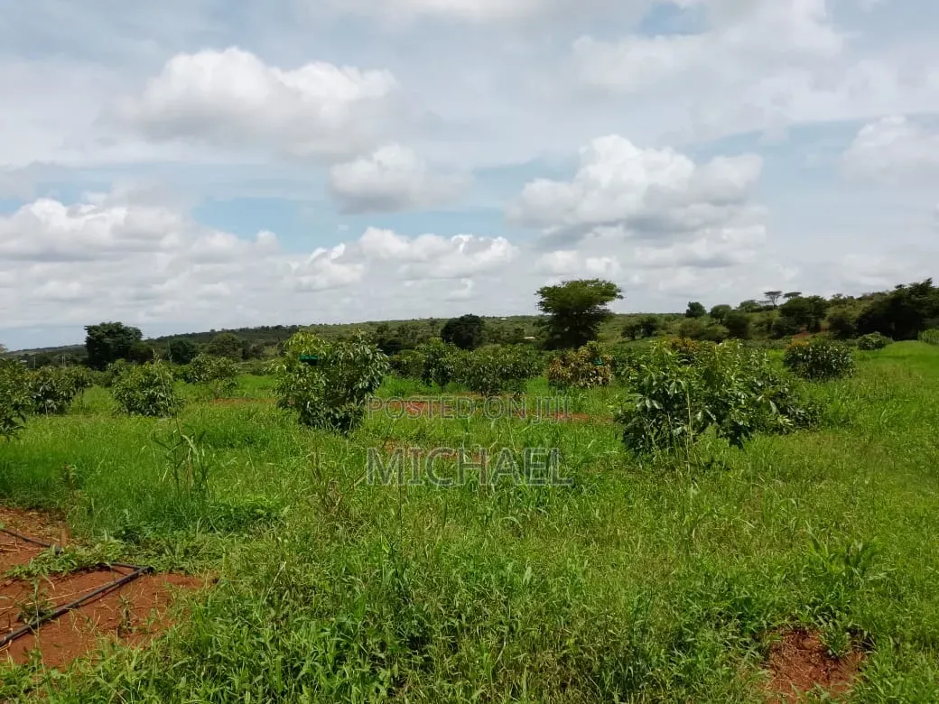 Prime 1,100 Acres for Sale – Loitoktok | Slopes of Mt. Kilimanjaro in Loitoktok