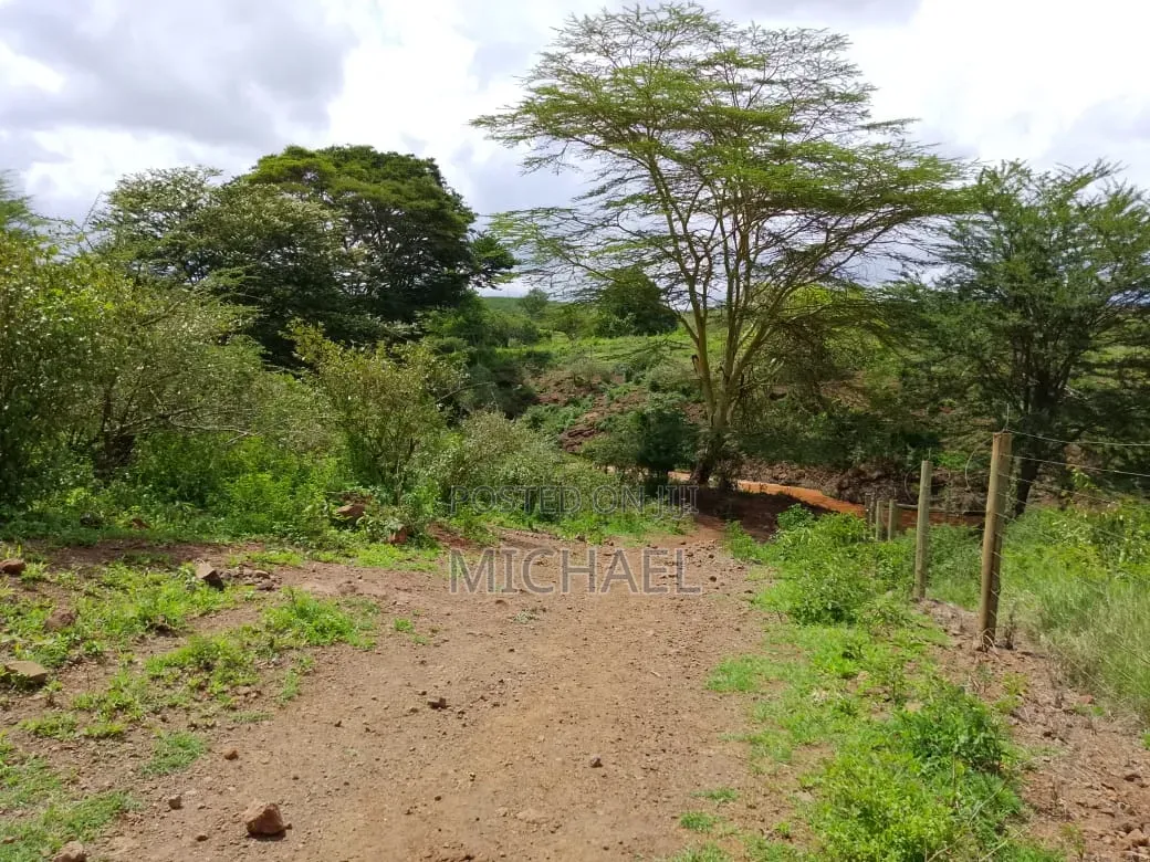 Prime 1,100 Acres for Sale – Loitoktok | Slopes of Mt. Kilimanjaro in Loitoktok