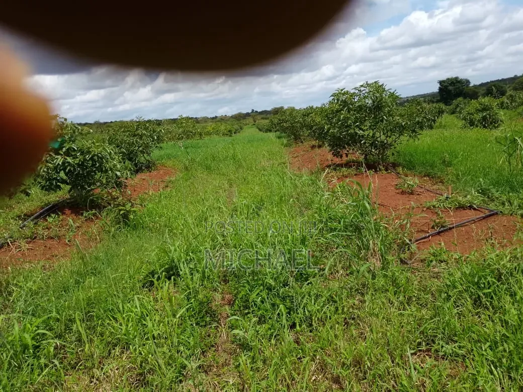Prime 1,100 Acres for Sale – Loitoktok | Slopes of Mt. Kilimanjaro in Loitoktok