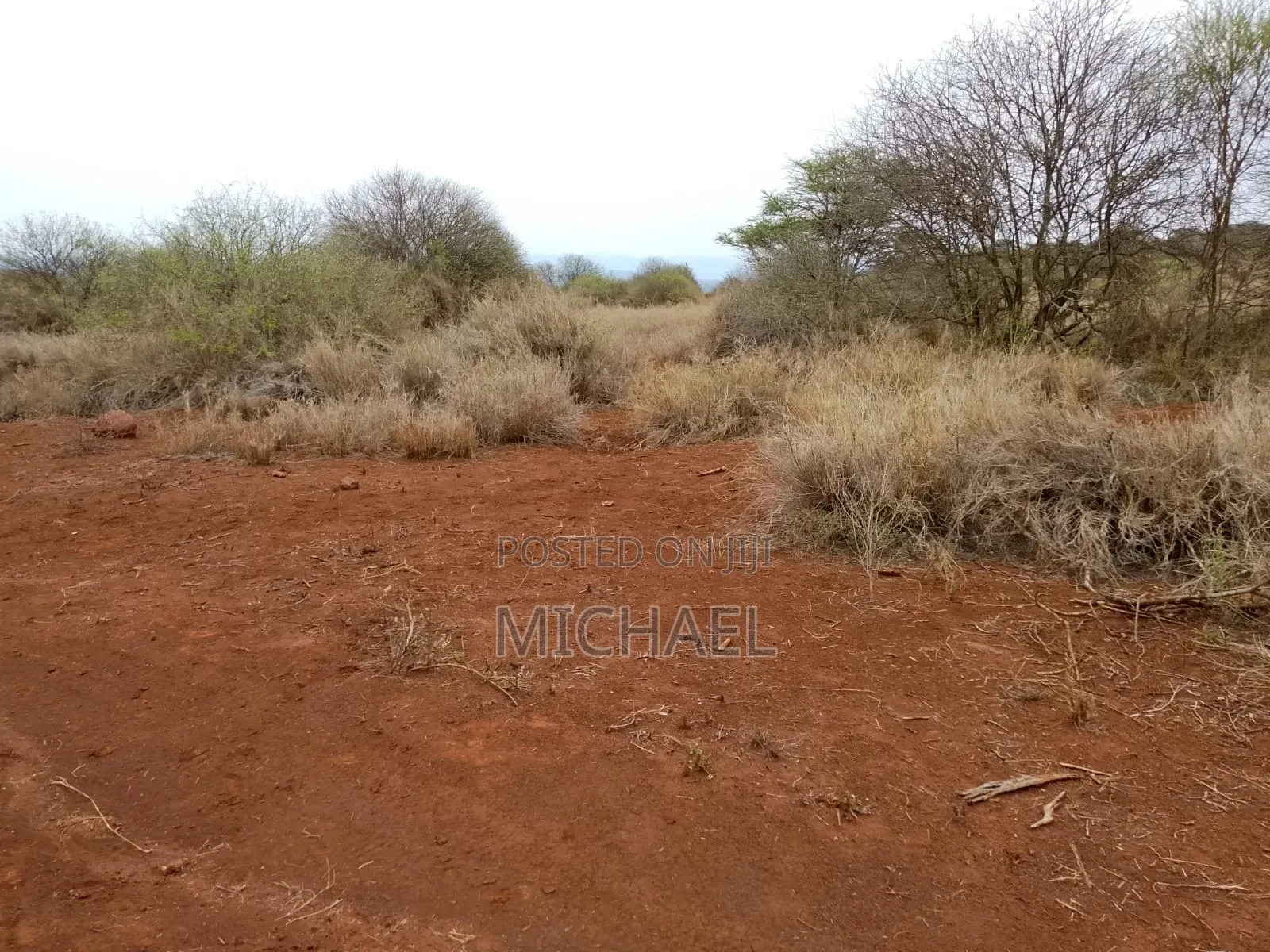 Prime Plots for Sale– Kimana Town in Kimana