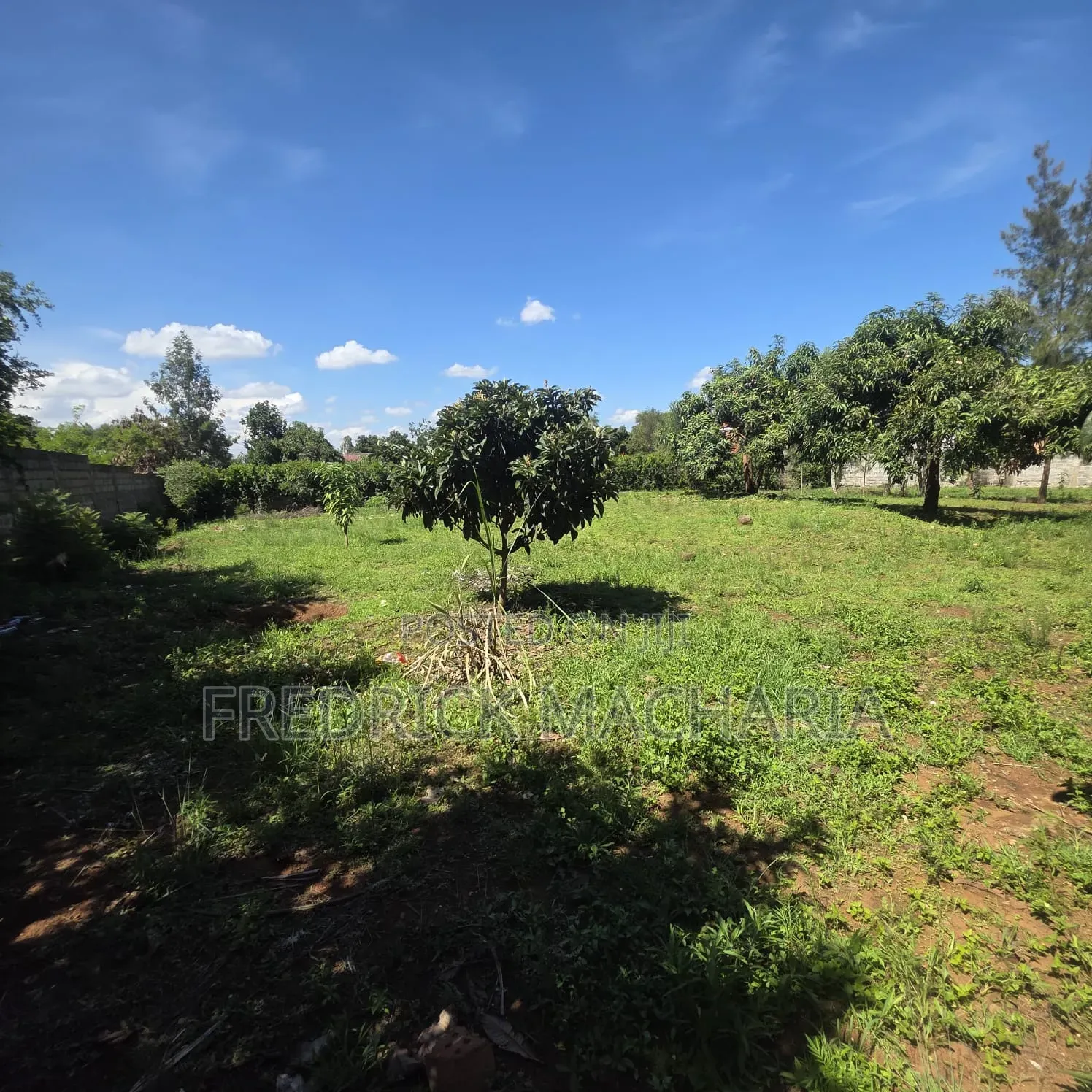 2Adjacent Commercial Plot for Sale Kamakis in Kamakis
