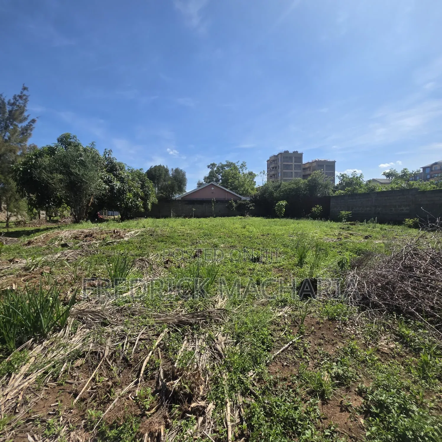 2Adjacent Commercial Plot for Sale Kamakis in Kamakis