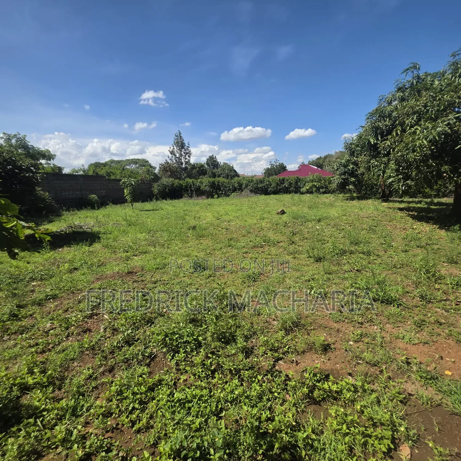 2Adjacent Commercial Plot for Sale Kamakis in Kamakis