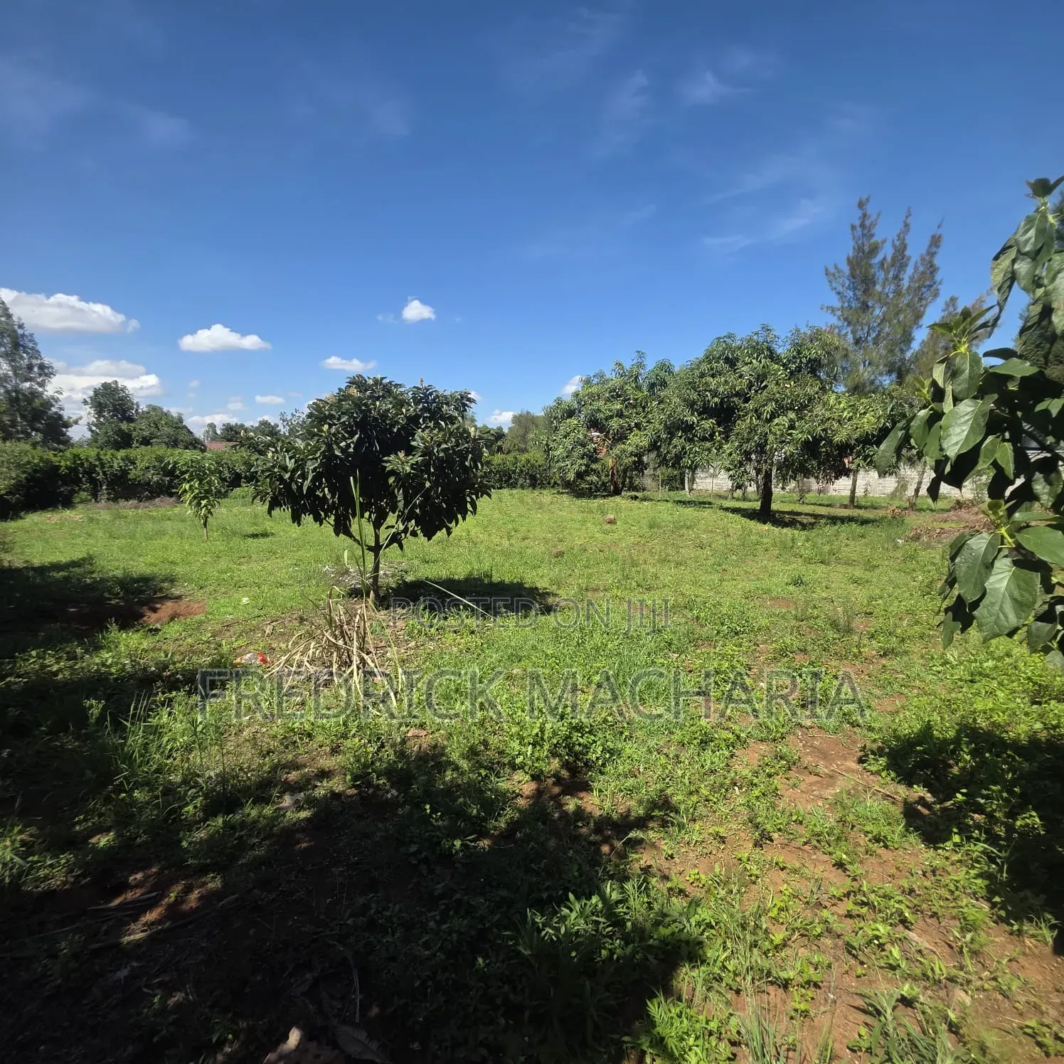 2Adjacent Commercial Plot for Sale Kamakis in Kamakis