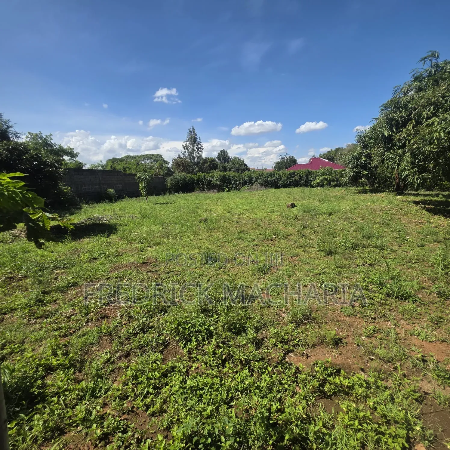 2Adjacent Commercial Plot for Sale Kamakis in Kamakis