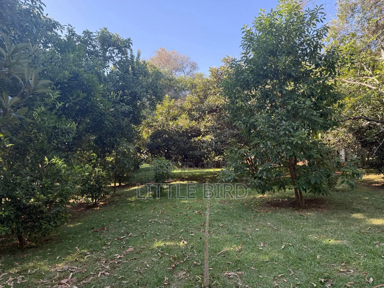 8bdrm Villa in Hardy for sale in Hardy