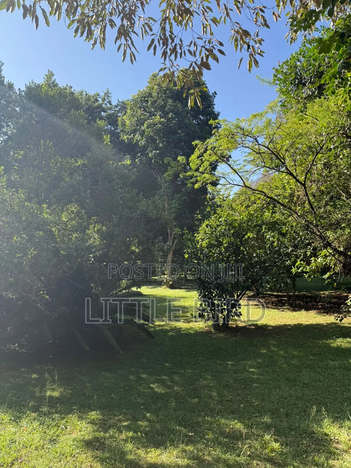 8bdrm Villa in Hardy for sale in Hardy