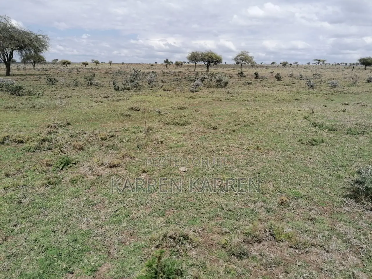 3.5 Acres for Sale in Nanyuki With Mt Kenya Views – KSh Per Acre in Nanyuki