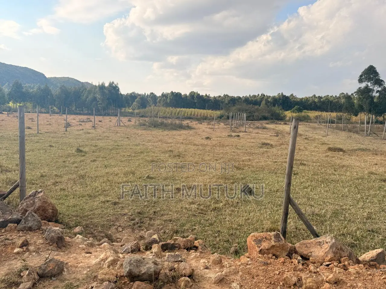 Plot(s) for Sale in Kikuyu
