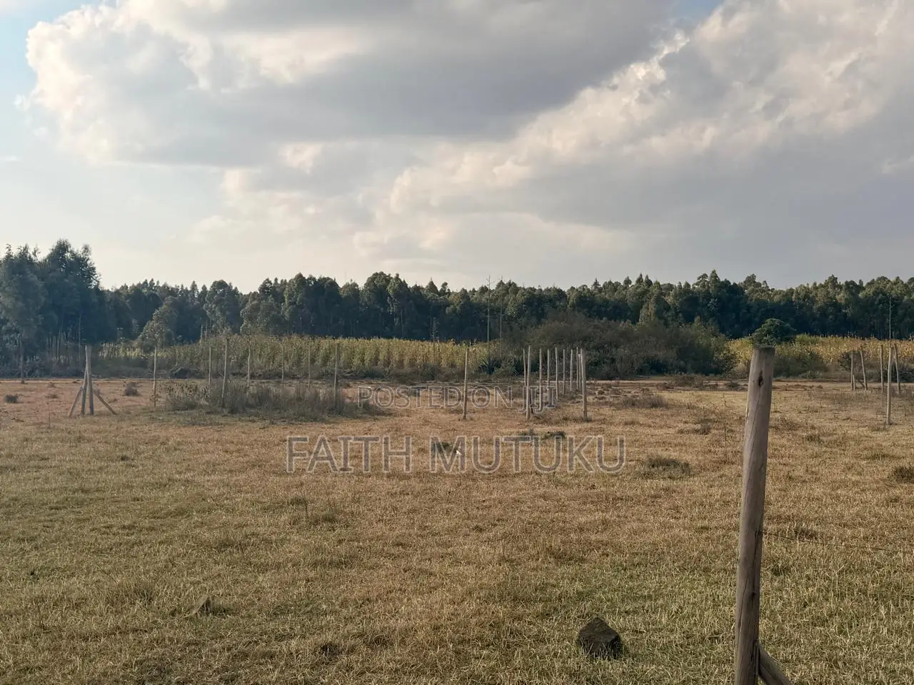 Plot(s) for Sale in Kikuyu