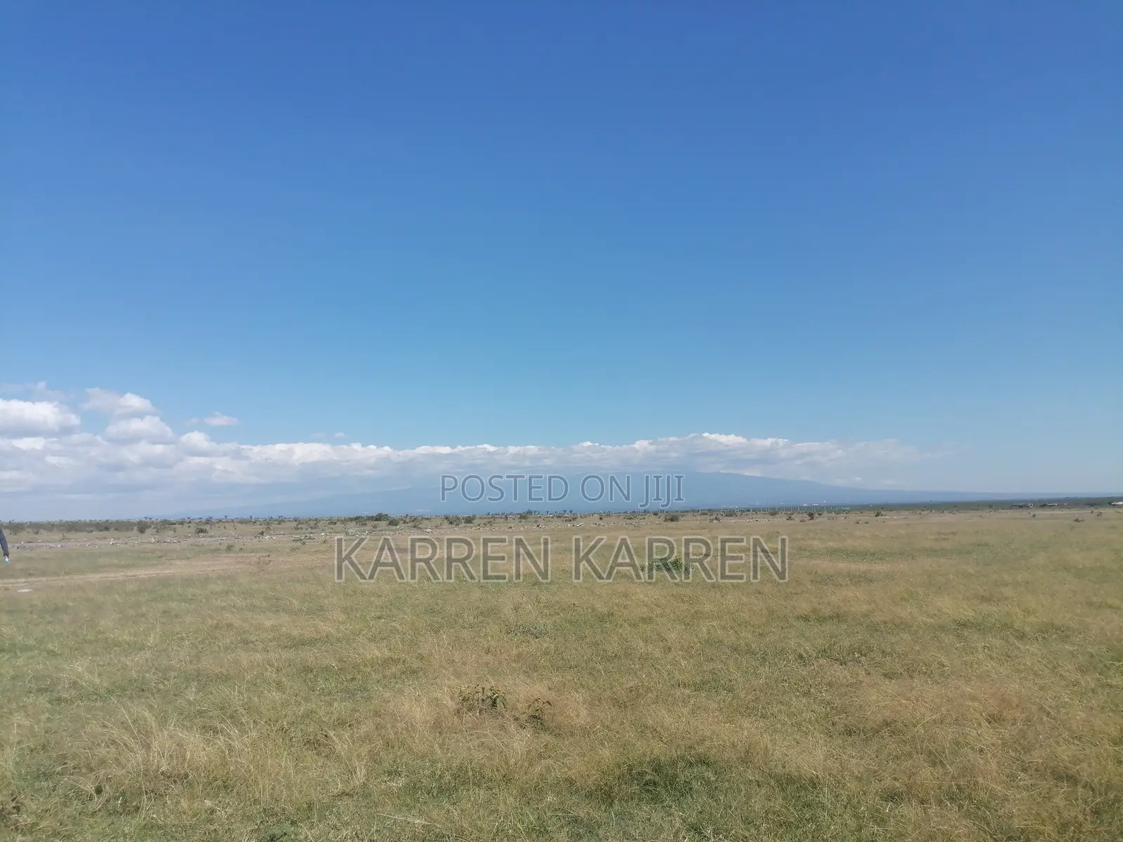 Affordable 1.5-Acre Plot for Sale in Nanyuki –– KSh Per Acre in Nanyuki