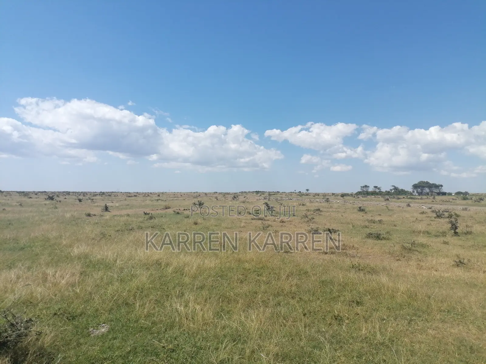 Affordable 1.5-Acre Plot for Sale in Nanyuki –– KSh Per Acre in Nanyuki