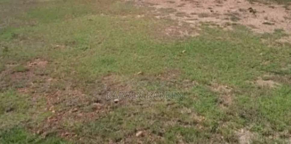 1/8-Acre Plot for Sale in Maguguni, Thika East – KSh 950,000 in Gatuanyaga