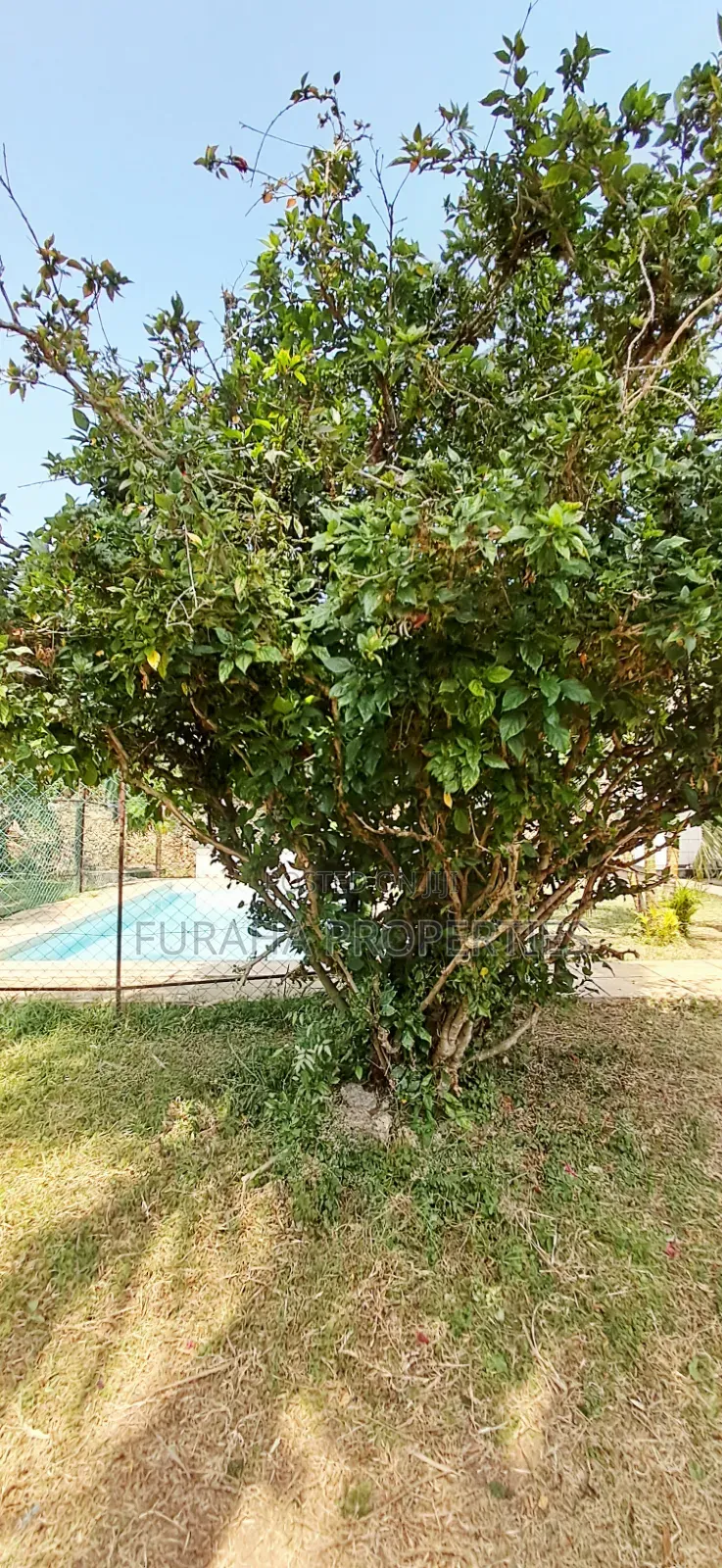 4bdrm House in Nyali for sale in Nyali Mkomani