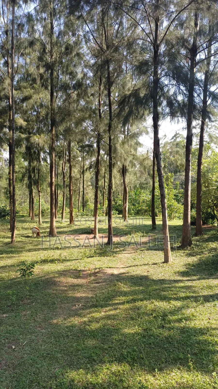 2acres Land on Sale Inaya. in Marama West