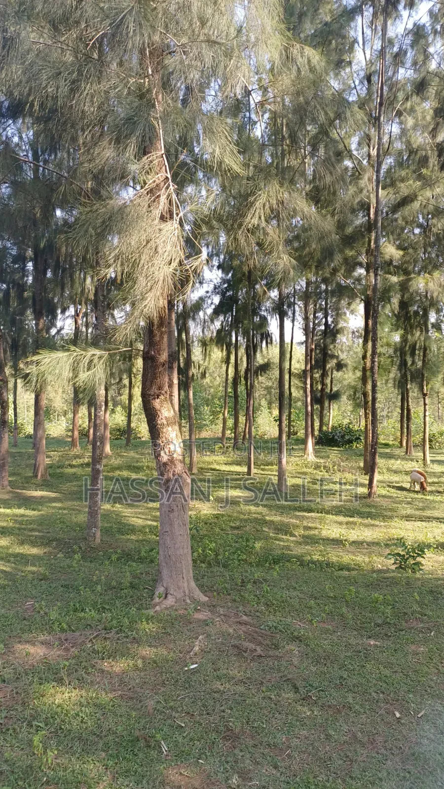2acres Land on Sale Inaya. in Marama West