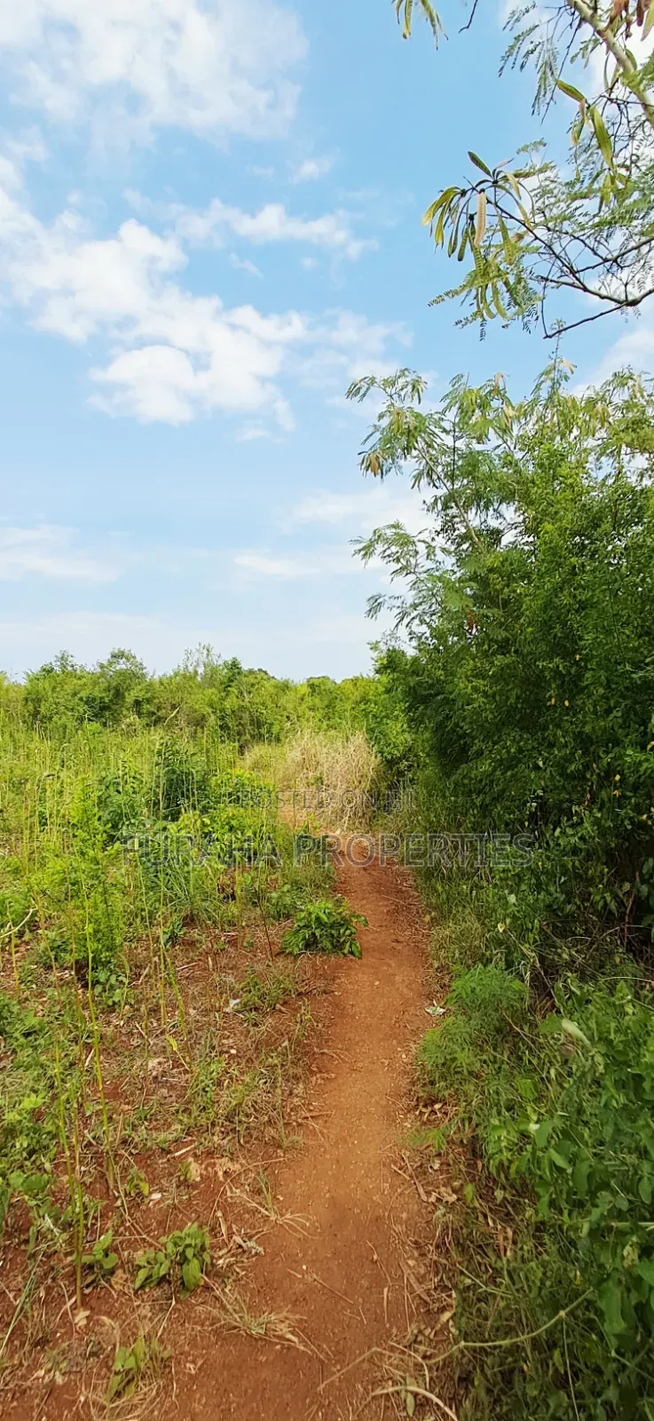 For Sale 3 Acres Land Chale South Coast in Diani