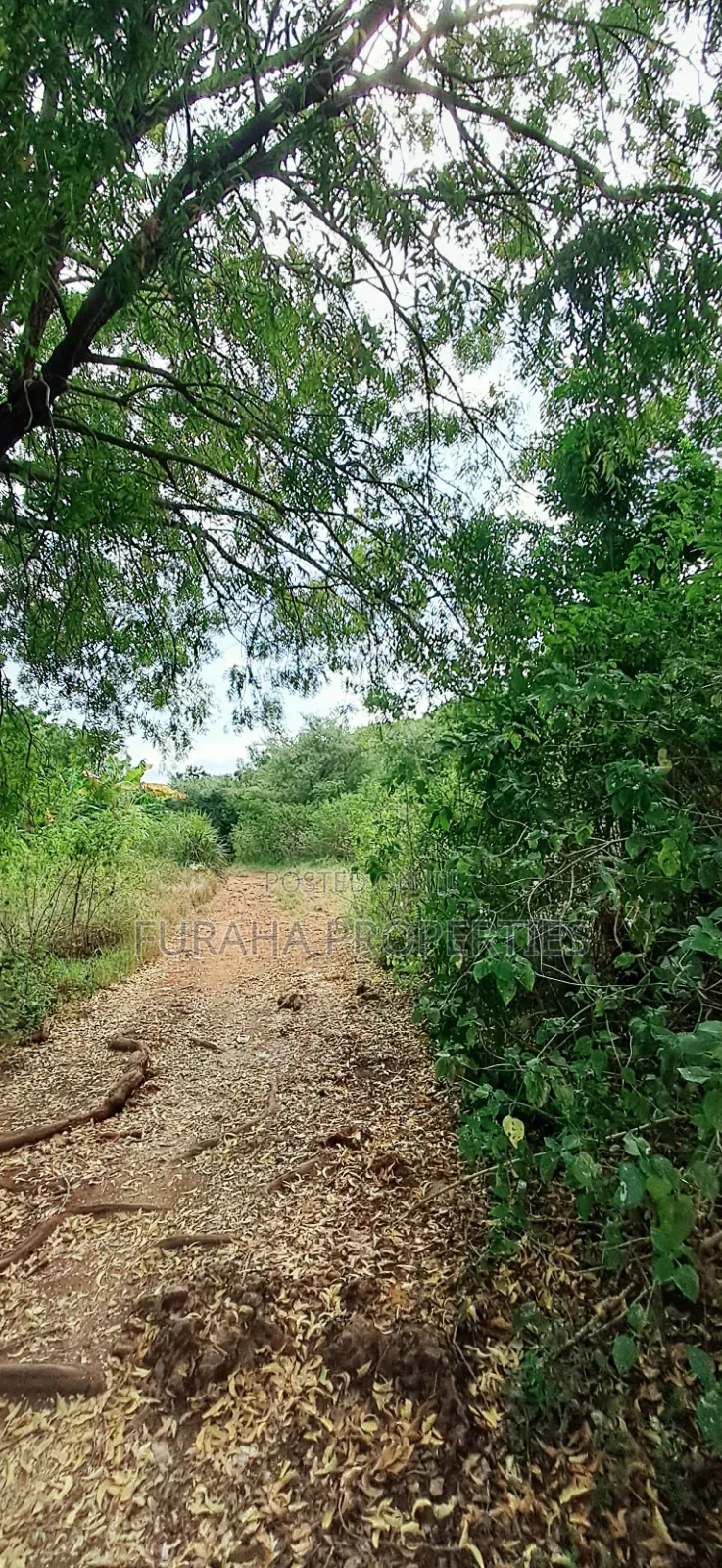 For Sale 3 Acres Land Chale South Coast in Diani