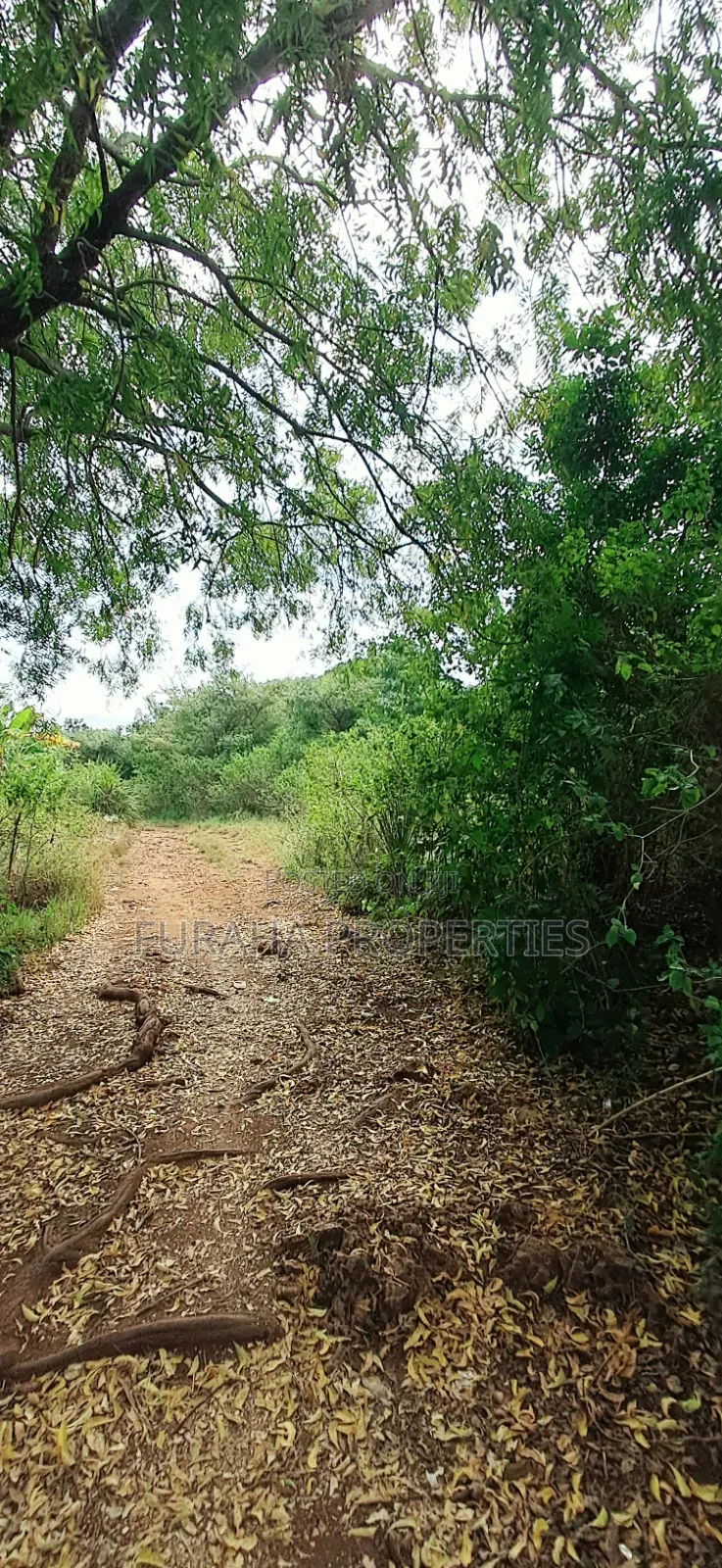 For Sale 3 Acres Land Chale South Coast in Diani