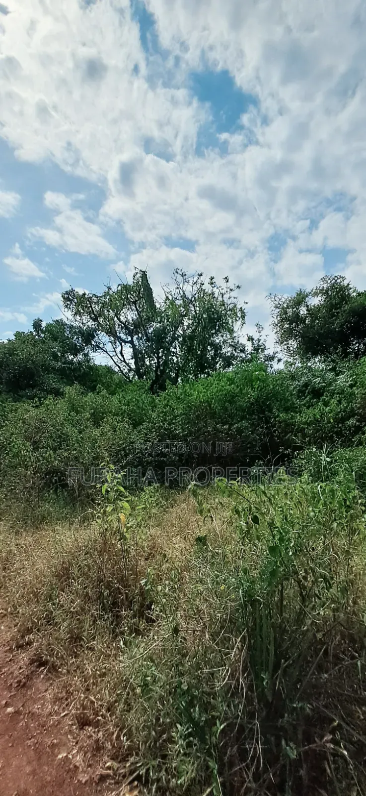 For Sale 3 Acres Land Chale South Coast in Diani
