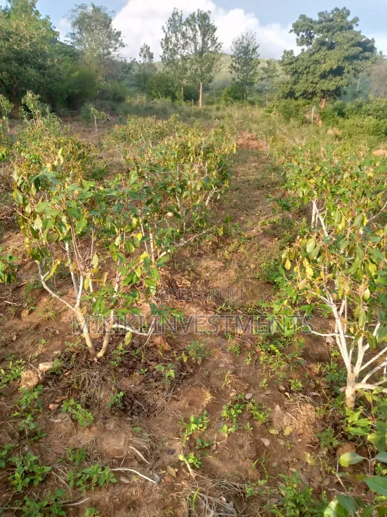 1.5 Acre on Sale at Siakago-Embu in Mbeti North