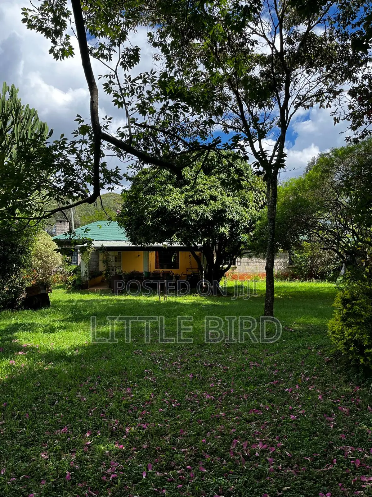 3bdrm Bungalow in Hardy for rent in Hardy