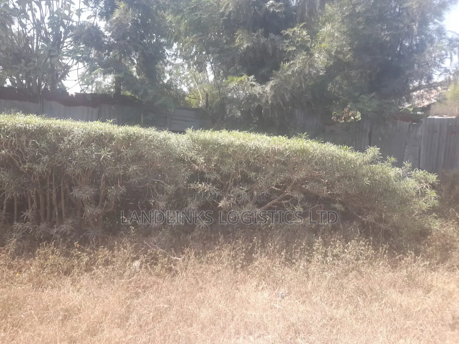 South C Plot 50 * 100 at 120m Oleshapara Rd in South C