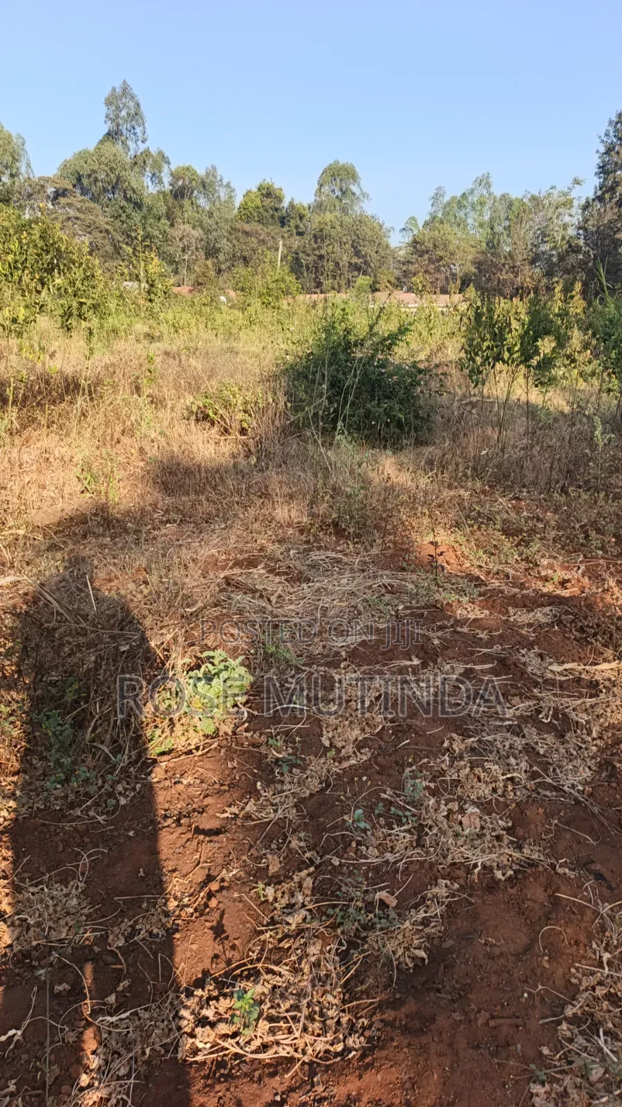 2acres Matungulu in Tala