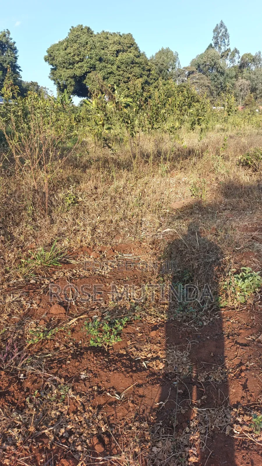 2acres Matungulu in Tala