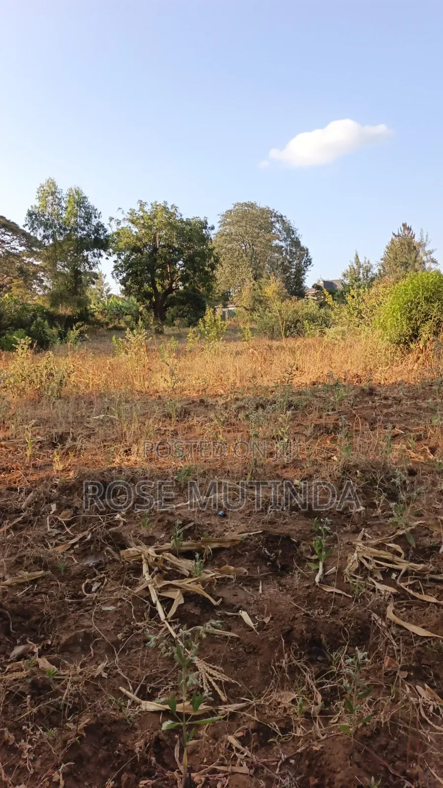 2acres Matungulu in Tala