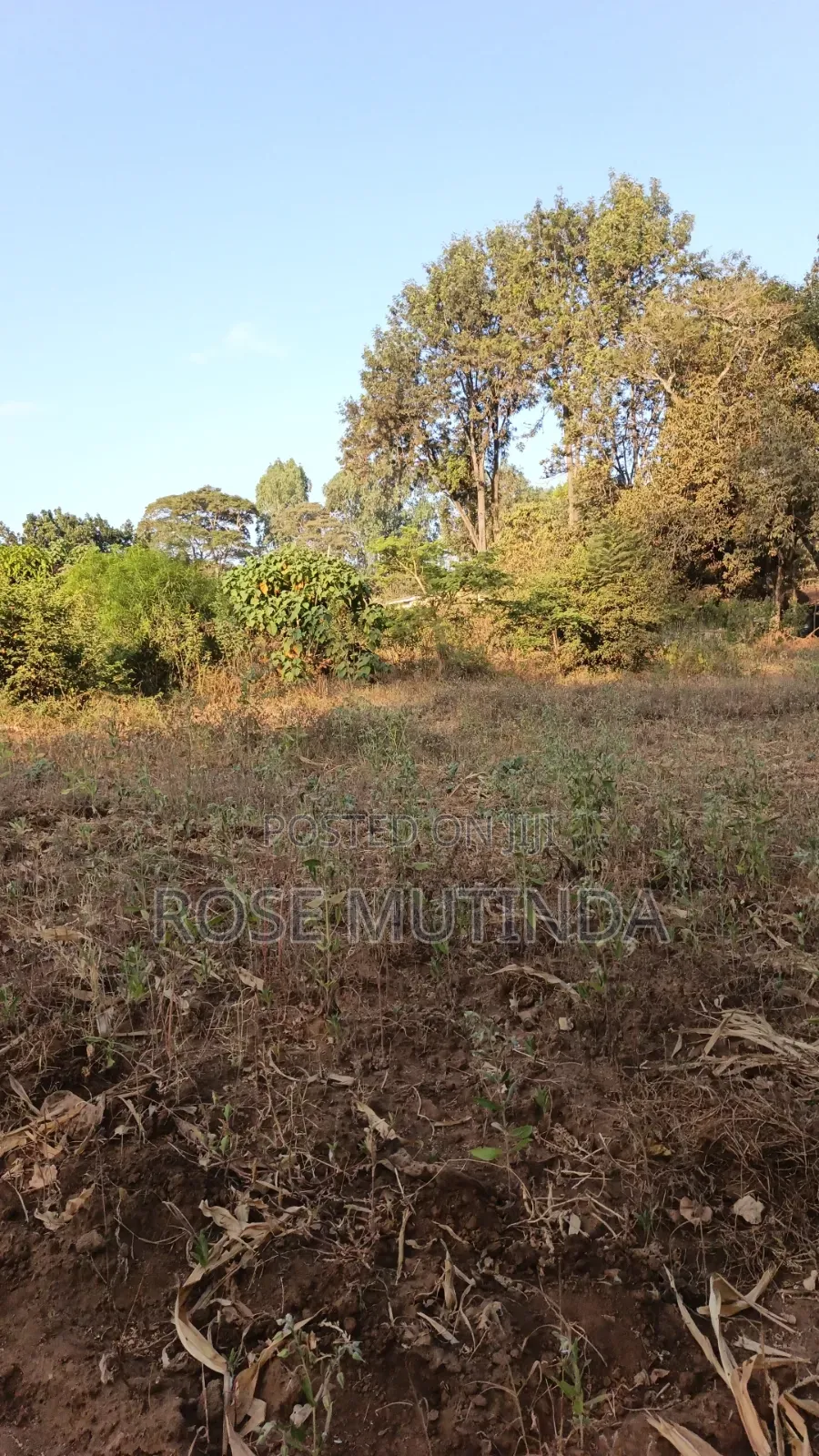 2acres Matungulu in Tala